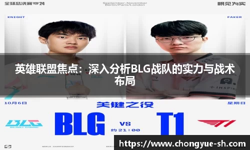 佰利乐平台
