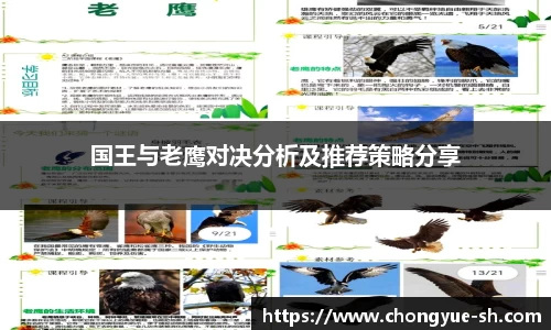 国王与老鹰对决分析及推荐策略分享