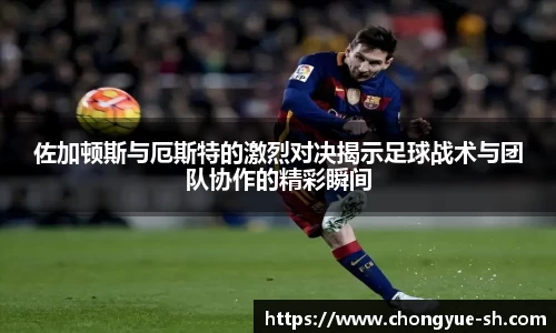 佰利乐首页